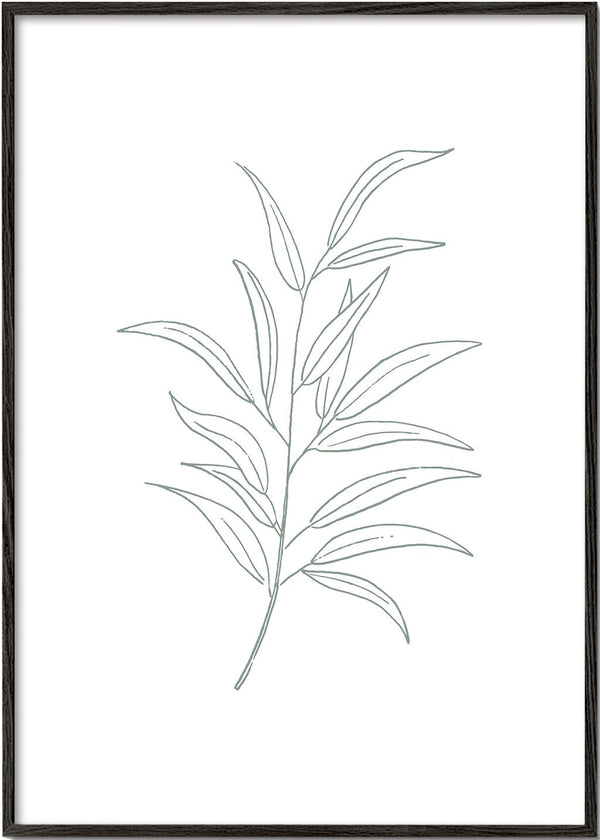Botanicals 11