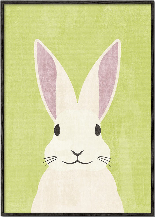 FAUNA / Rabbit